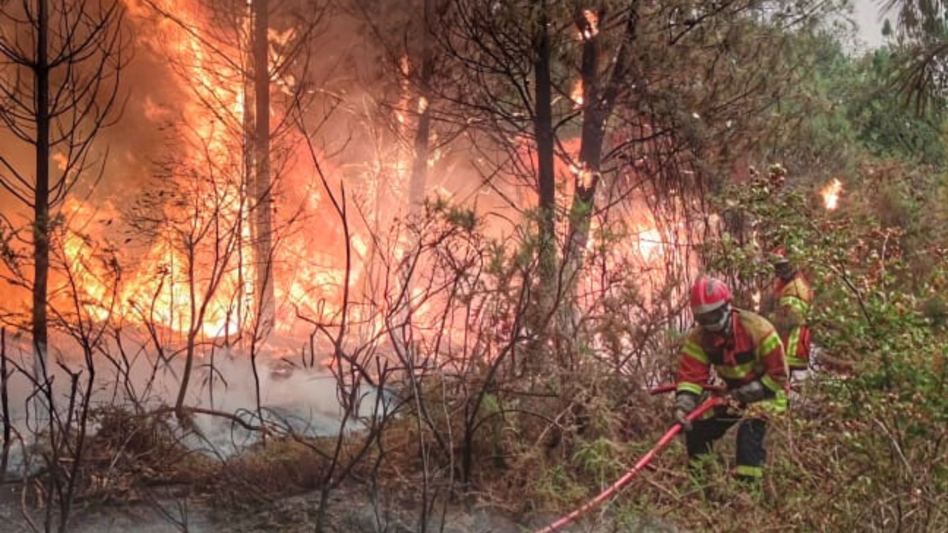 Feux de forêt : les sapeurs-sauveteurs continuent la lutte 