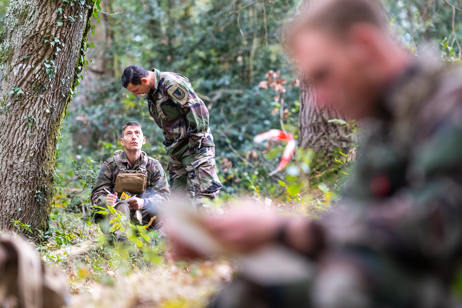 Tests psychotechniques en forêt.