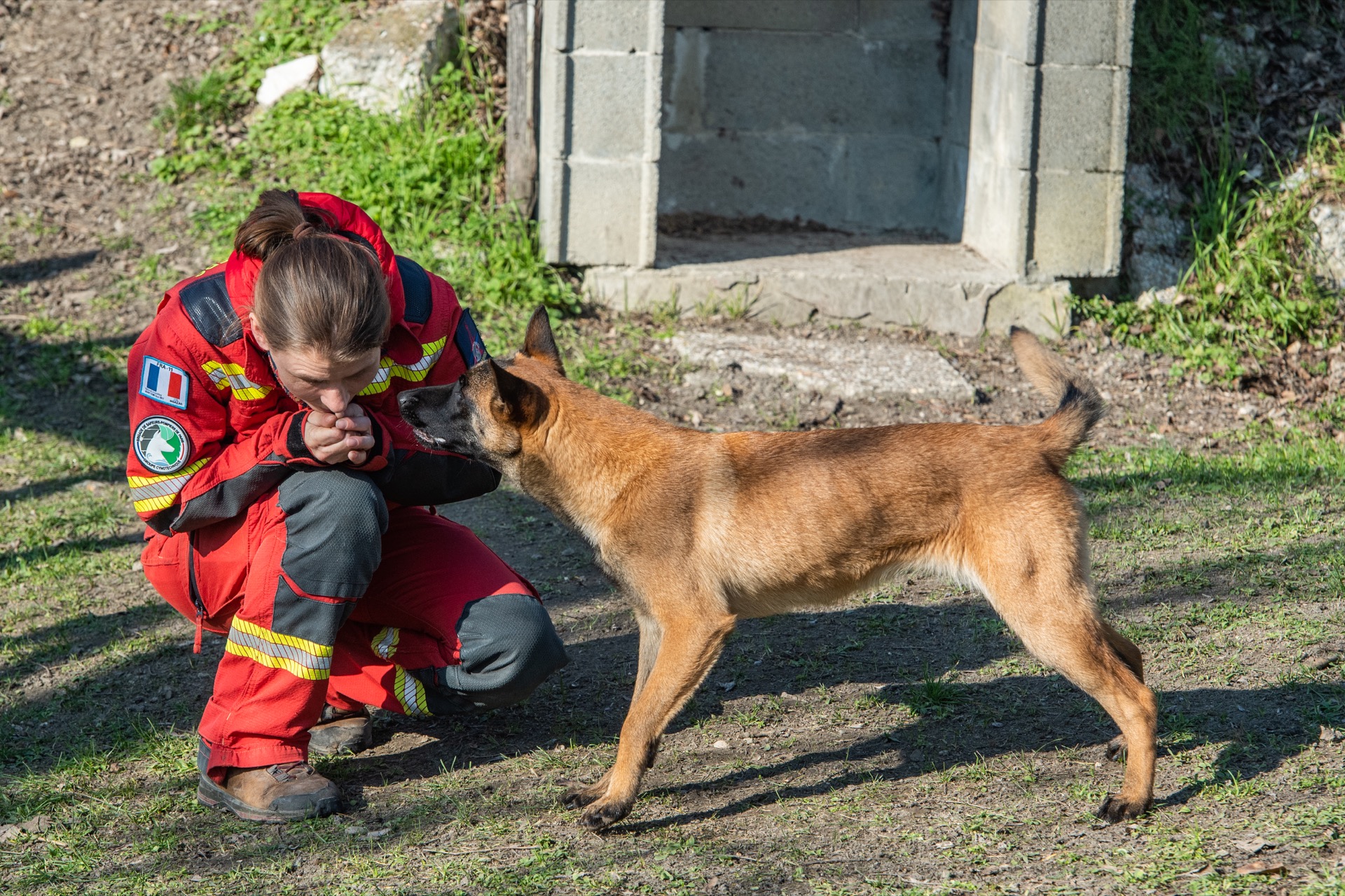 Tundra, 5 mois, est encore en période d'essai.