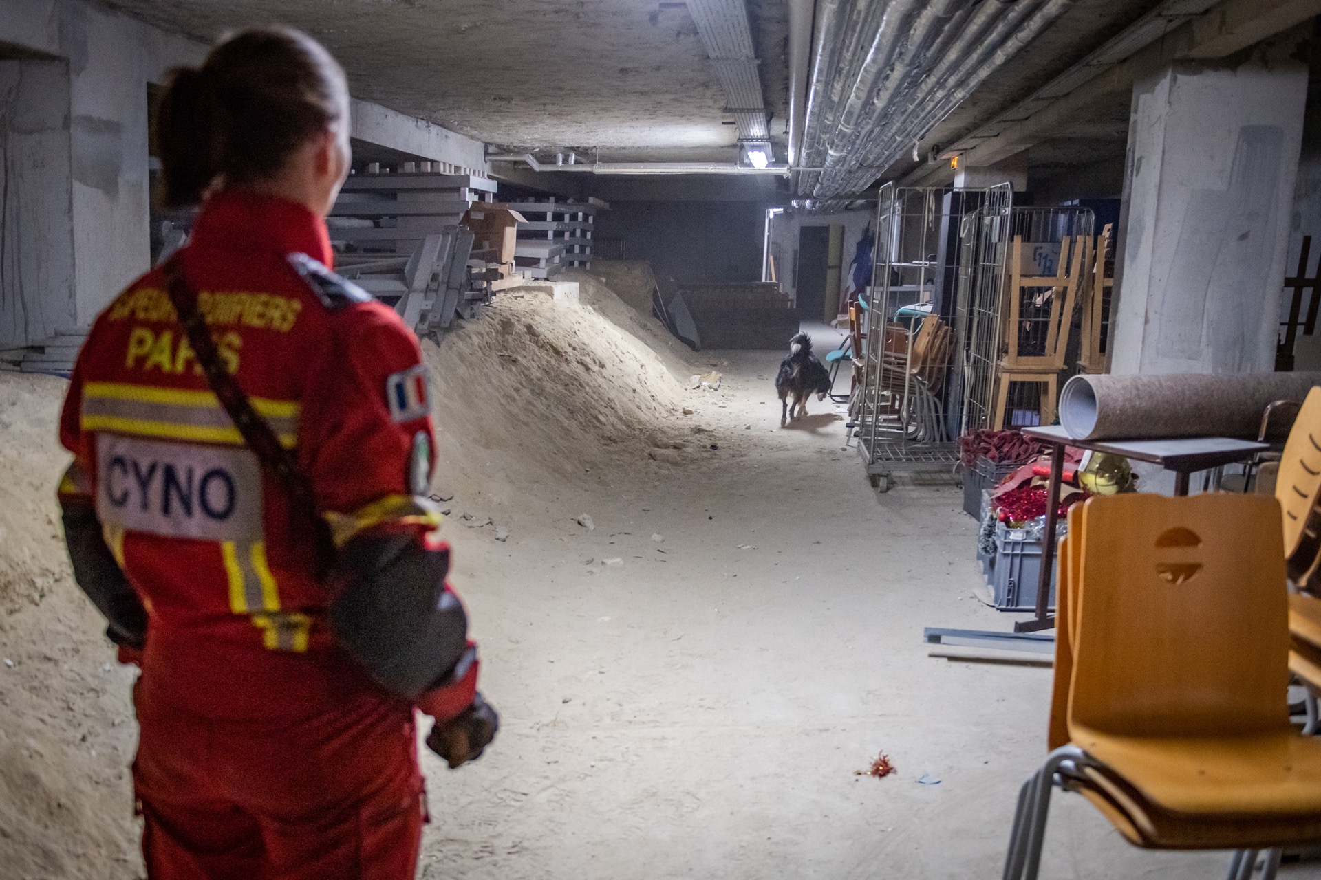 La recherche en bâtiment fait aussi partie de la formation socle des chiens.