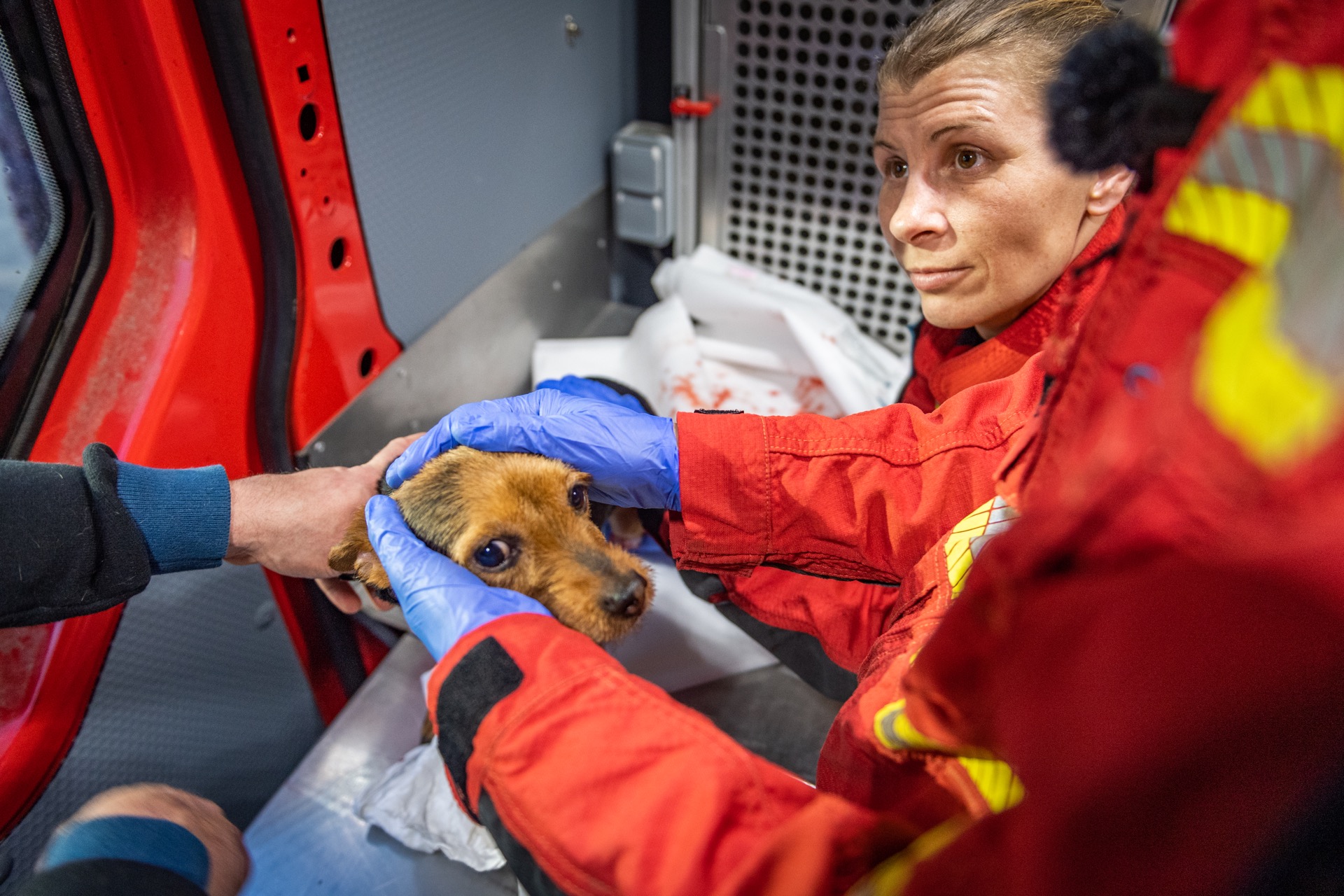 Le véhicule risque animalier permet d'accueillir les animaux en attendant le vétérinaire.