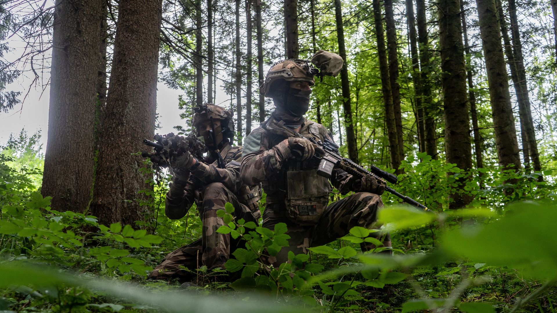 Le détachement d'acquisition dans la profondeur (DAP) du 1er RA, dissimulé dans la lisière d'une épaisse forêt, établi une cache d'observation.