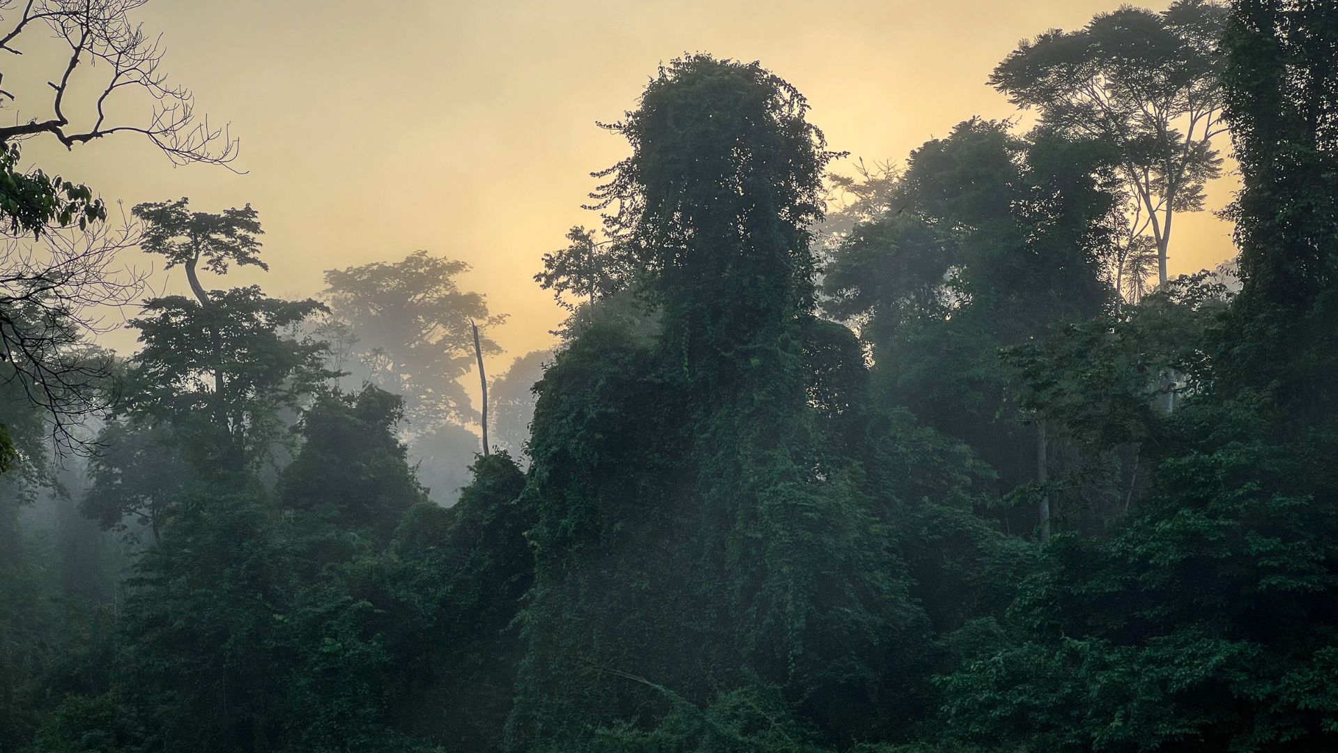 Une expédition en plein coeur de la jungle guyanaise.