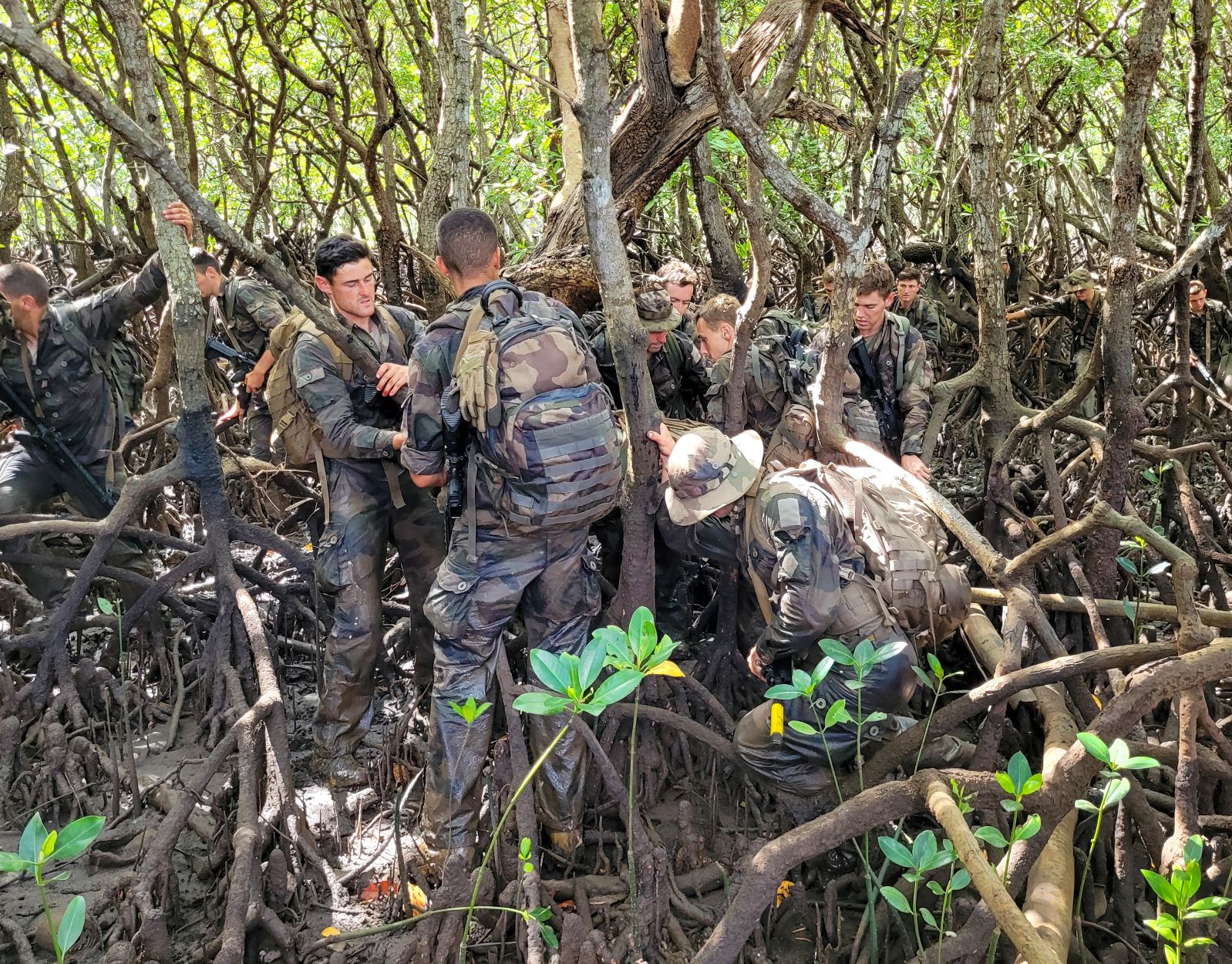 Soldats progressants dans la jungle mahoraise.